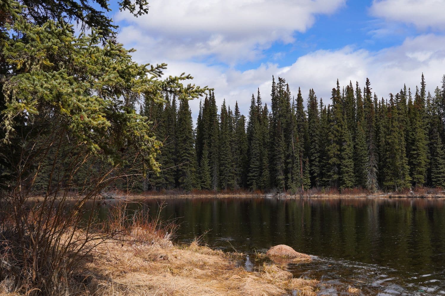 The land continues to guide how we live, learn, and work together as a Nation.